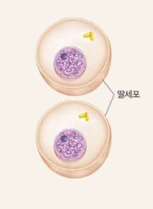 Answer Image